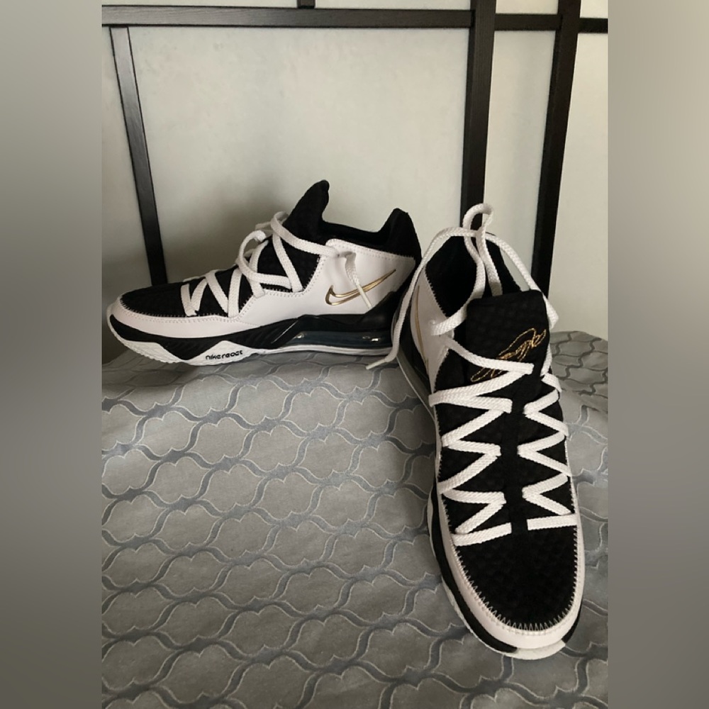 NWOB, NIKE Lebron 17 Low basketball shoes